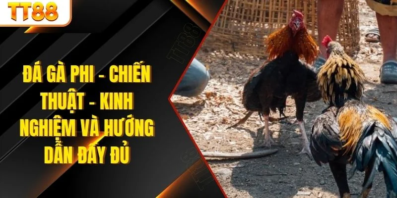 đá gà phi