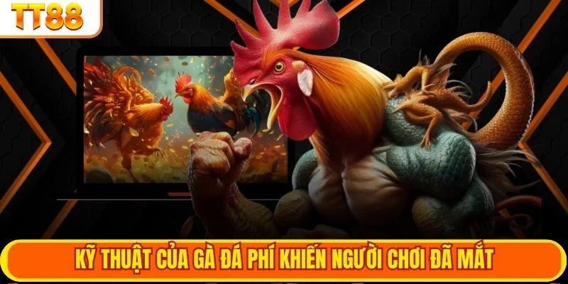 Kỹ thuật của gà đá phí khiến người chơi đã mắt